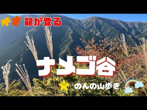 【秋の紅葉】奈良県ナメゴ谷の登り龍の絶景！