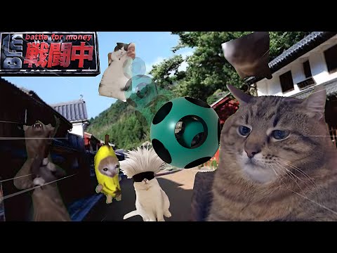 戦闘中をすることになった猫たちの日常Part3【猫ミーム】【猫マニ】