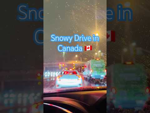 #snowy #snowydrive #canada #winterishere #onesnowynight #driving