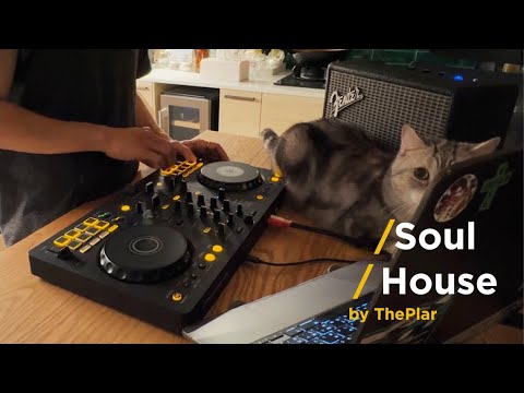 Soul / House / Nu Disco DJ SET (Cat included) by ThePlar