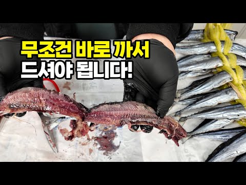 포항,구룡포 현지인들이 인생 과메기라고 하는 통 과메기 과연 먹을만할까?