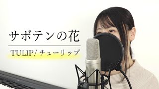 サボテンの花 〜ひとつ屋根の下より〜 / チューリップ（財津和夫）【Macro Stereo】