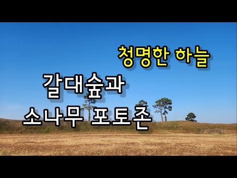 아쉬운 가을 추억을 만들어요.