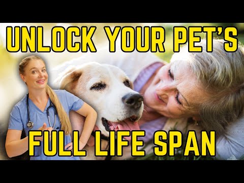 How to make a pet live forever? | Must Watch!