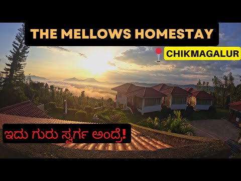 ಇಲ್ಲಿನ COTTAGE VIEW😍ನೋಡುದ್ರೆ ಪಕ್ಕ Psych ಆಗ್ತೀರಾ!👌|THE MELLOWS HOMESTAY| HILL TOP STAY-CHIKMAGALUR🌄|