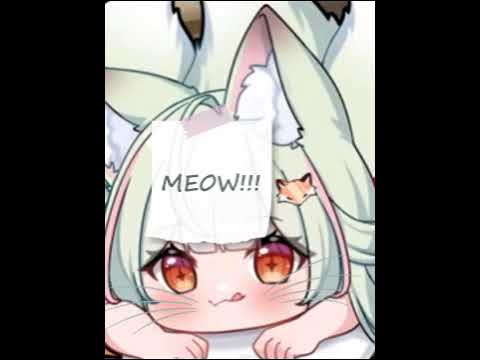 MEOW - [ BATSU STREAM ] | Chiya Maawiya Ch.