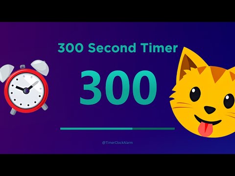 🔴 300 Second Timer 🔴 (Countdown) with Alarm