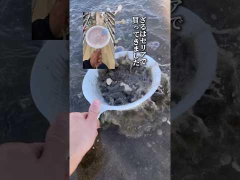 無料でしじみを乱獲する方法in冬の川