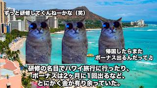 【バブル崩壊】なぜバブル経済が起きた後、日本経済は崩壊したのか？ #猫マニ #猫ミーム