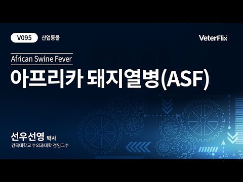 [베터플릭스][산업동물] 아프리카 돼지열병  ASF(African Swine Fever)