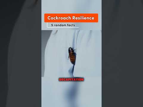 #LongestHiccups  #CockroachResilience #ArcticEscape #FrozenLobsters #FireSpeed