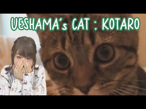 Ueda Reina getting Excited Over Her Cat's Video