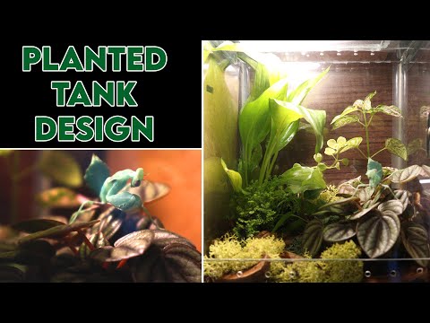 Making a Planted Vivarium for a Mantis [DESIGN]