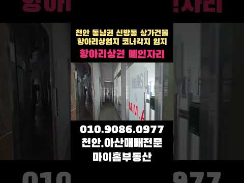 천안건물매매 월721만원 메인상업지 삼거리 코너각지 상가건물급매 인수가6억대 상가7호 주인세대 천안상가매매 #천안건물매매 #상가건물급매 # 천안상가주택 #천안부동산