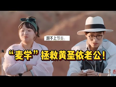 再见爱人真的越看越是心趴疼！张泉灵灵魂发文麦麦回答令人发醒