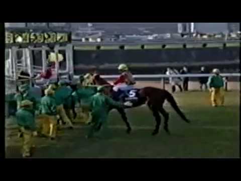 1995年　有馬記念　マヤノトップガン.mp4