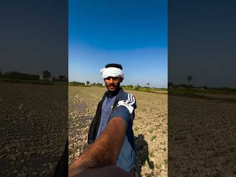 Desi life 👳🏻‍♂️🌾 #minivlog #shorts