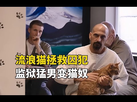 當囚犯遇上流浪貓，猛男瞬間變成小蘿莉，彼此的人生被徹底改變