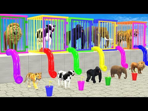 Don’t Choose The Wrong SLIDE with LONG SLIDE Elephant, Cow, Lion, Gorilla Cat Wild Animals Cage Game