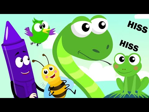 Animal Sounds Song, Nursery Rhymes and Cartoon Videos for Kids