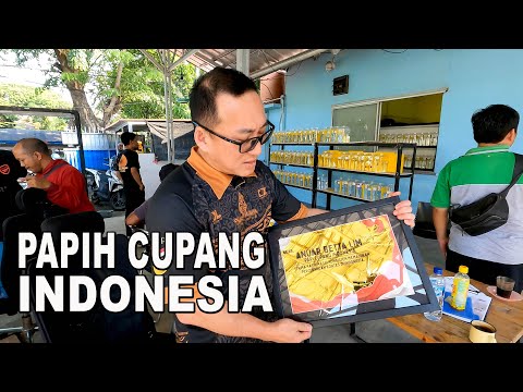 PAPIH CUPANG INDONESIA