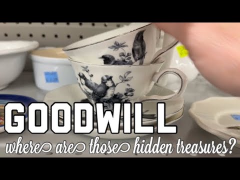 Goodwill Thrift Store Shopping looking to buy flip for Profit