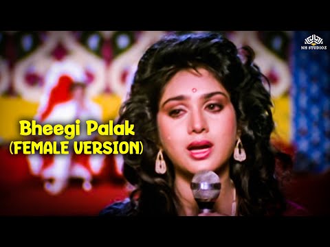 Bheegi Palak (Female) | Badi Bahen (1993) | Anuradha Paudwal | Meenakshi Seshadri | Bollywood Songs