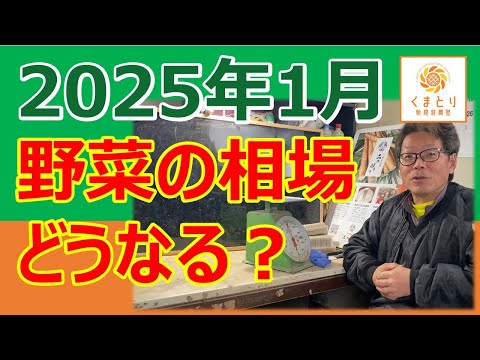 2025年1月 野菜の相場は高値安定?