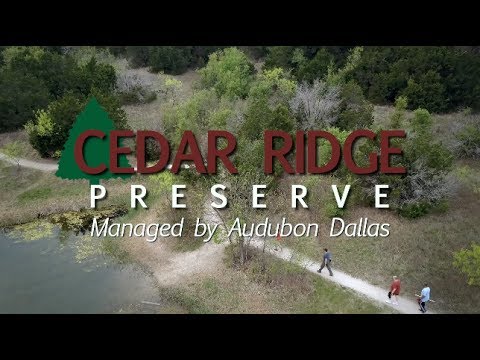 Volunteer at Cedar Ridge Preserve Today!