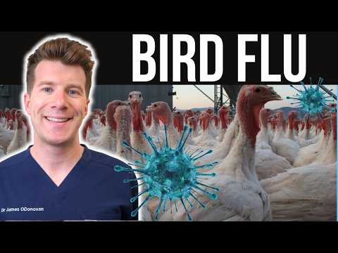 Doctor explains Bird Flu (Avian Flu H5N1) | Causes, symptoms, treatment