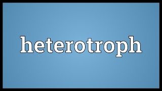 Heterotroph Meaning