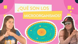 ¿Qué son los MICROORGANISMOS?