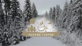 【 大自然咖啡廳 #Nature coffee shop】• 冬天 • 舒眠 • 下雪聲 • 讀書音樂 • Snow • Piano • Relaxing • Studying • Working