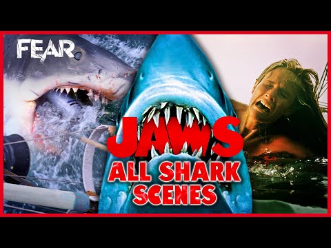 Every Single Shark Scene In Jaws (1975) | Fear: The Home Of Horror