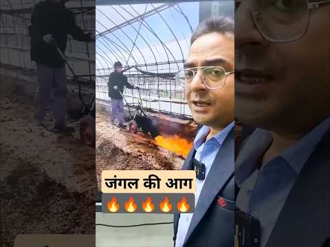 जंगल की आग | California Burning | #pradeepsirbiology #prasir #experiment #science #medical