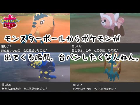 【剣盾】ポケモンの捕獲に苦戦するもこう【配信切り抜き2019/11/15】