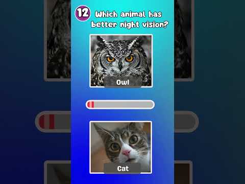 "How Good Is Your Knowledge of Animals? 🐾 Test Yourself Now!"|The Quiz Show