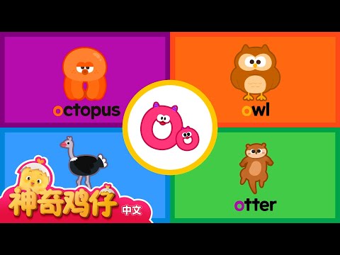 自然拼讀法 O! K~O | 神奇鸡仔与英语 | 卡通動畫 | Como Kids TV