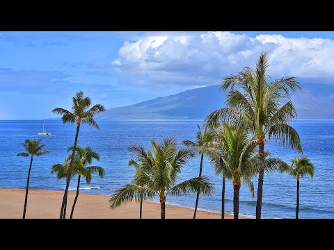 Kaanapali Alii 172 - Maui, Hawaii