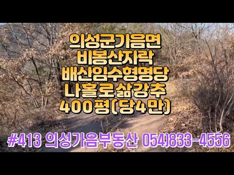 #413 의성가음부동산 계곡막장땅 언덕위 전망좋은 남향 묵은밭 400평 1600만 (당4만원) 저수지위 묘터추천! 산약초재배 대토용 농지원부용 자연인 주말농장용 #의성땅#주말농장