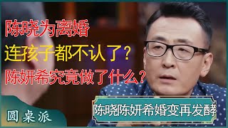 陈晓为离婚连孩子都不认了？陈妍希究竟做了什么？ #窦文涛 #梁文道 #马未都 #周轶君 #马家辉 #许子东 #圆桌派 #圆桌派第七季