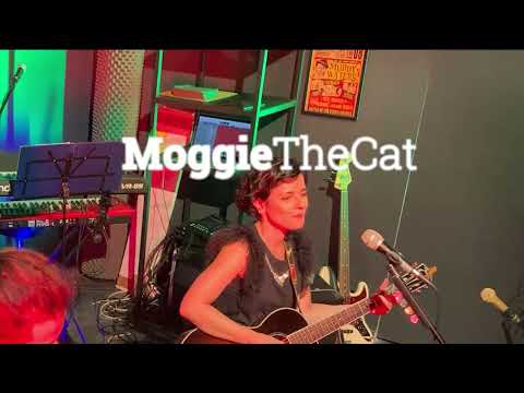 "Stumbling into you" by Moggie The Cat, live acoustic in Milan (July 2022)