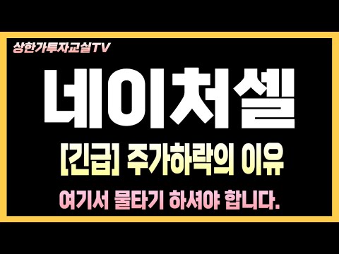 [네이처셀 주가전망] [긴급!] 전세계 최초 줄기세포 치료제 미국 FDA 등록된다 - 2월 FDA미팅 진행된다 초대박 !!! 쓸어모아라 !!!