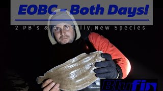 Catching Fish At the EOBC - TURBOT ~ SOLE & MORE! New species & PB's broken!