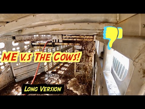 Another Crappy Situation | Livestock Trailer Washout | Long Version