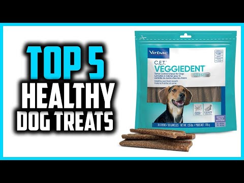 ✅Top 5 Best Healthy Dog Treats in 2025