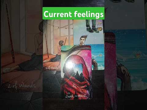 ❣️Current feelings❣️ of your Person #tarot #tarotreading #shorts #viralshorts #trending #viral