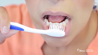 How to Brush Your Teeth