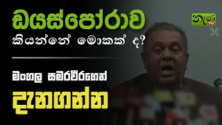 “ඩයස්පෝරාව කියන්නෙ මොකක් ද?“ | What is Diaspora? | Mangala Samaraweera