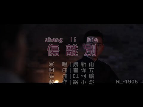 魏新雨 | 傷離別 | (DJ版) | (1080P)KTV